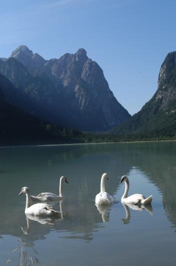 Hotel Serles Superior Toblach Buitenkant foto